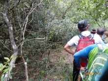 Thumbnail of pic_LK_Cheung_048.JPG