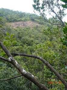 Thumbnail of pic_LK_Cheung_053.JPG