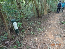 Thumbnail of pic_LK_Cheung_062.JPG