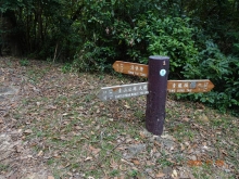 Thumbnail of pic_LK_Cheung_066.JPG