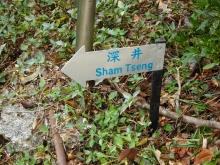 Thumbnail of pic_LK_Cheung_076.JPG