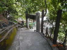 Thumbnail of pic_LK_Cheung_078.JPG