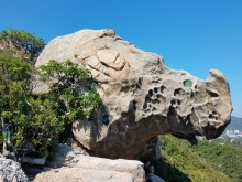 Thumbnail of 20251116_071.jpg