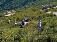 Thumbnail of 20251116_089.jpg