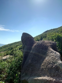 Thumbnail of pic_SK_Kwan_010.JPG