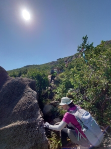 Thumbnail of pic_SK_Kwan_011.JPG