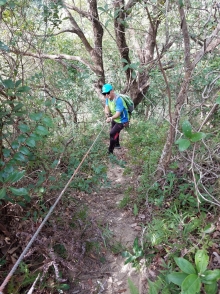 PB230019.jpg (756356 bytes)