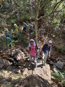 Thumbnail of pic_WaiG_004.jpg