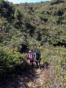 Thumbnail of pic_WaiG_012.jpg