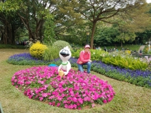 Thumbnail of PB300017.jpg