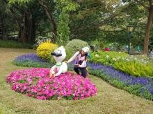 Thumbnail of PB300020.jpg