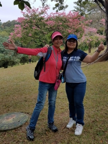 Thumbnail of PB300026.jpg