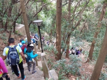 Thumbnail of PB300062.jpg