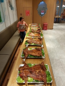 Thumbnail of PB300085.jpg