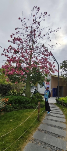 Thumbnail of pic_Derek_Wong_009.jpg