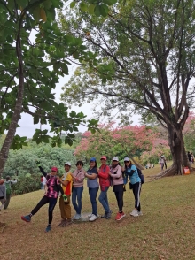 Thumbnail of pic_Szeto_027.jpg