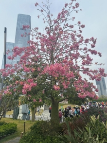 Thumbnail of pic_TB_Tung_009.JPG