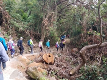 Thumbnail of PC070012.jpg