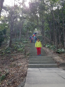 Thumbnail of PC140048.jpg