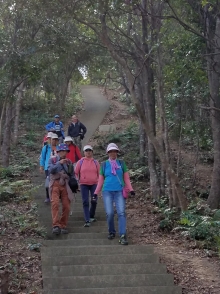 Thumbnail of PC140049.jpg