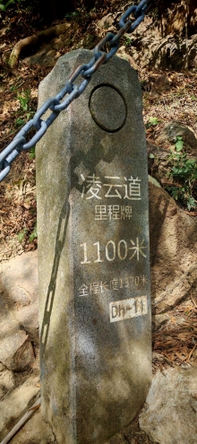 Thumbnail of pic_Cindy_Tse_021.jpg