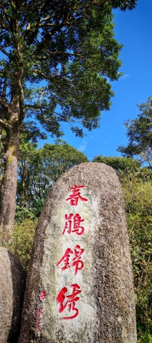 Thumbnail of pic_Cindy_Tse_034.jpg