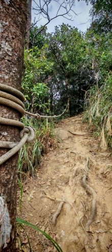 Thumbnail of pic_Cindy_Tse_043.jpg