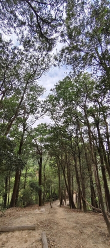 Thumbnail of pic_Derek_Wong_059.jpg