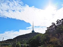 Thumbnail of pic_Lee_Shing_022.JPG