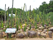 Thumbnail of pic_Lee_Shing_029.JPG