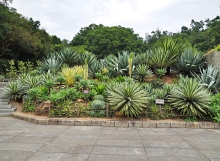 Thumbnail of pic_Lee_Shing_030.JPG