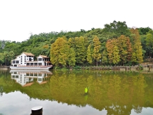 Thumbnail of pic_Lee_Shing_040.JPG