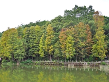 Thumbnail of pic_Lee_Shing_042.JPG