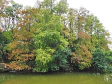 Thumbnail of pic_Lee_Shing_045.JPG