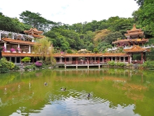 Thumbnail of pic_Lee_Shing_046.JPG