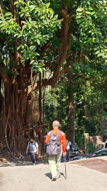 Thumbnail of pic_KL_Sin_036.jpg