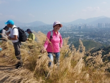 PC280033.jpg (470282 bytes)