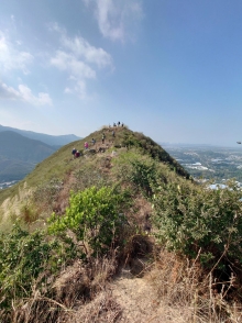 Thumbnail of pic_SK_Kwan_035.JPG