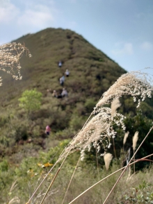 Thumbnail of pic_SK_Kwan_038.JPG