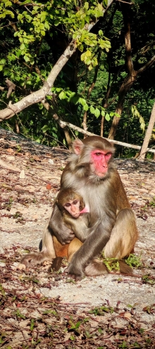 Thumbnail of pic_Cindy_Tse_010.jpg