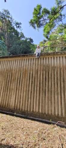 Thumbnail of pic_Derek_Wong_024.jpg