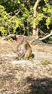 Thumbnail of pic_Dicky_Poon_002.JPG