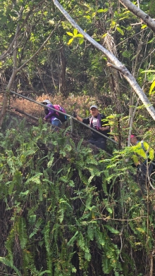 Thumbnail of pic_KW_Li_021.jpg