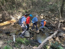 Thumbnail of pic_TB_Tung_013.JPG