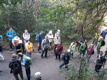 Thumbnail of P1110007.jpg