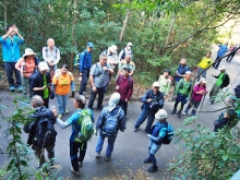 Thumbnail of pic_Lee_Shing_003.JPG