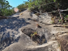 Thumbnail of pic_Lee_Shing_015.JPG