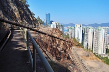 Thumbnail of pic_Lee_Shing_024.JPG