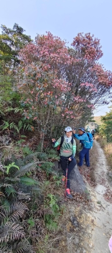 Thumbnail of pic_Derek_Wong_018.jpg