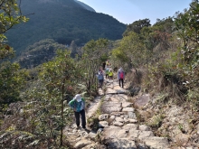 Thumbnail of pic_WaiG_002.jpg